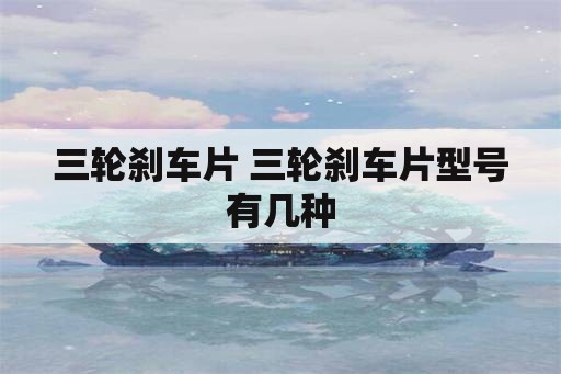 三轮刹车片 三轮刹车片型号有几种