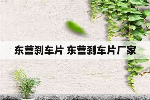 东营刹车片 东营刹车片厂家