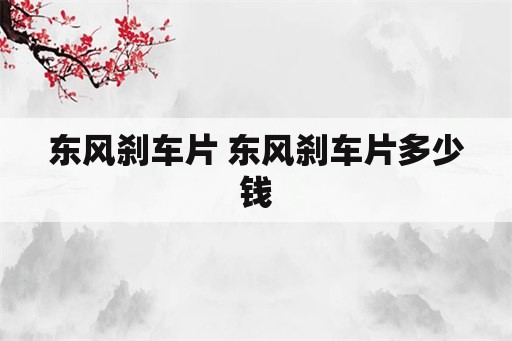 东风刹车片 东风刹车片多少钱