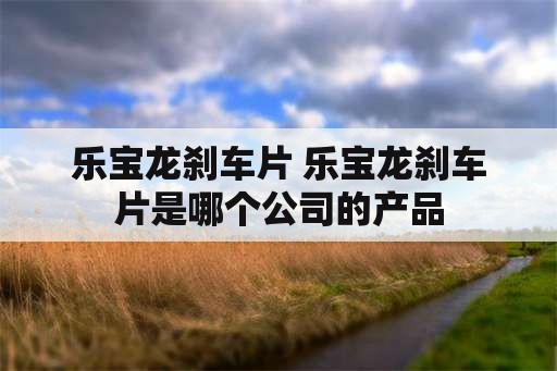 乐宝龙刹车片 乐宝龙刹车片是哪个公司的产品