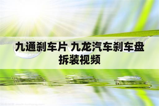 九通刹车片 九龙汽车刹车盘拆装视频