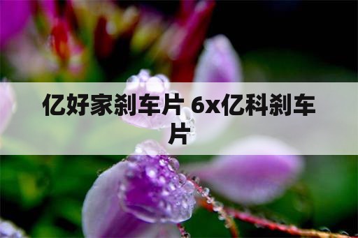 亿好家刹车片 6x亿科刹车片