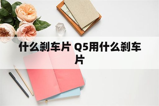 什么刹车片 Q5用什么刹车片