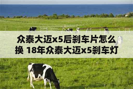 众泰大迈x5后刹车片怎么换 18年众泰大迈x5刹车灯电路图