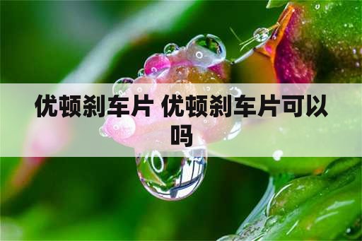 优顿刹车片 优顿刹车片可以吗