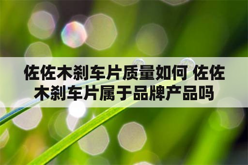 佐佐木刹车片质量如何 佐佐木刹车片属于品牌产品吗