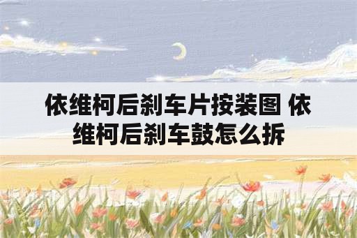 依维柯后刹车片按装图 依维柯后刹车鼓怎么拆