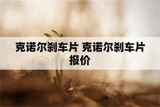 克诺尔刹车片 克诺尔刹车片报价