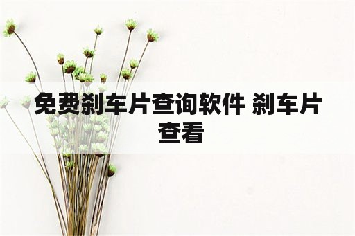 免费刹车片查询软件 刹车片 查看