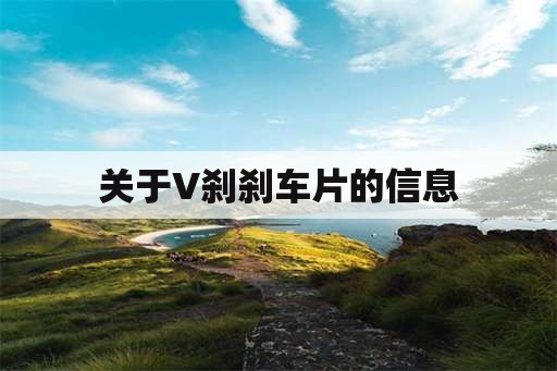 关于V刹刹车片的信息