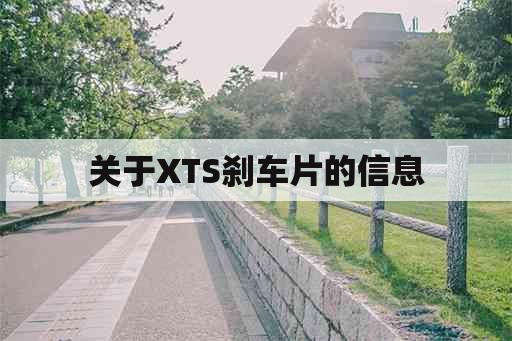 关于XTS刹车片的信息