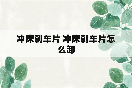 冲床刹车片 冲床刹车片怎么卸