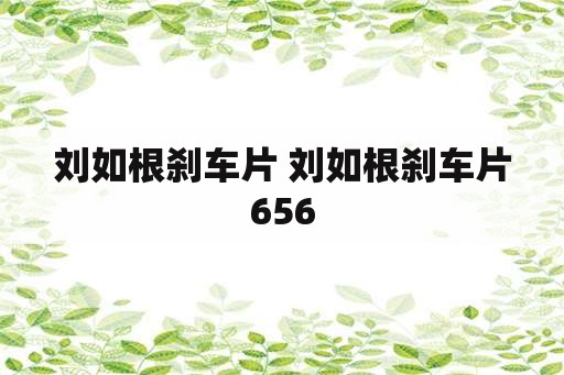 刘如根刹车片 刘如根刹车片656