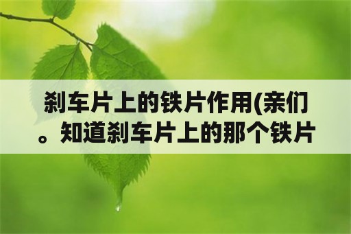 刹车片上的铁片作用(亲们。知道刹车片上的那个铁片有什么用处啊？)