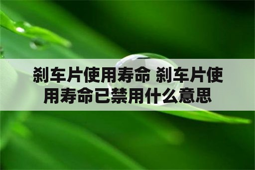 刹车片使用寿命 刹车片使用寿命已禁用什么意思