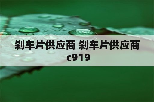 刹车片供应商 刹车片供应商 c919