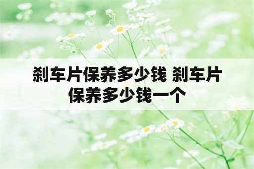 刹车片保养多少钱 刹车片保养多少钱一个