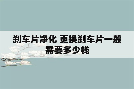 刹车片净化 更换刹车片一般需要多少钱