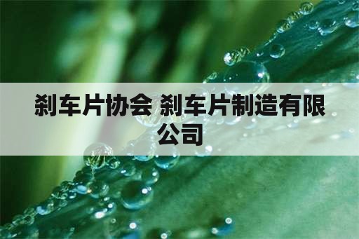 刹车片协会 刹车片制造有限公司