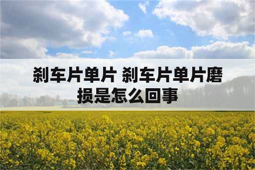 刹车片单片 刹车片单片磨损是怎么回事