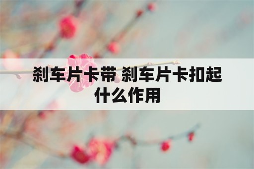 刹车片卡带 刹车片卡扣起什么作用