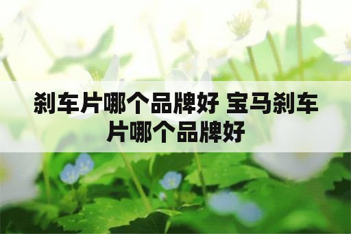 刹车片哪个品牌好 宝马刹车片哪个品牌好