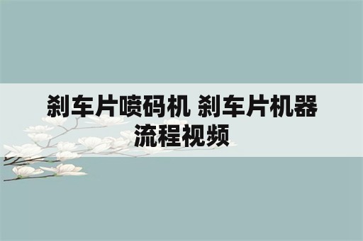 刹车片喷码机 刹车片机器流程视频