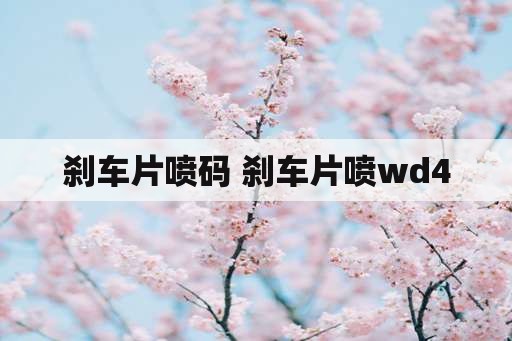 刹车片喷码 刹车片喷wd40