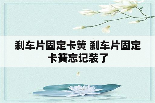 刹车片固定卡簧 刹车片固定卡簧忘记装了