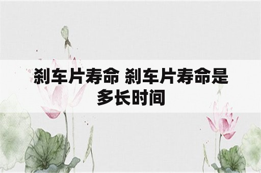 刹车片寿命 刹车片寿命是多长时间