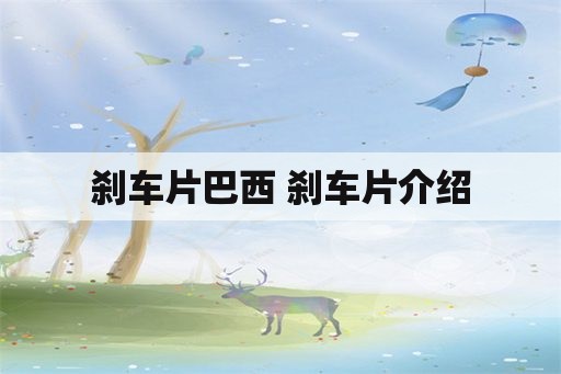 刹车片巴西 刹车片介绍