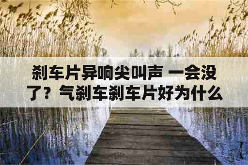 刹车片异响尖叫声 一会没了？气刹车刹车片好为什么踩下刹车松开有尖叫声，这是怎么回事？