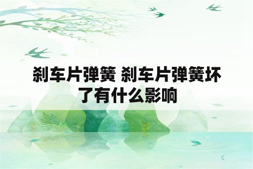 刹车片弹簧 刹车片弹簧坏了有什么影响