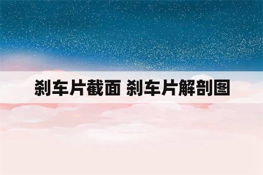 刹车片截面 刹车片解剖图