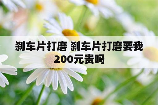 刹车片打磨 刹车片打磨要我200元贵吗