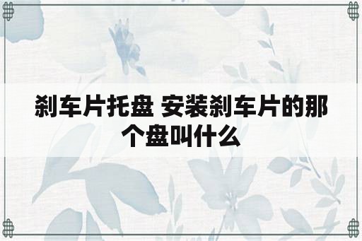 刹车片托盘 安装刹车片的那个盘叫什么