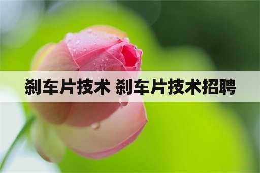 刹车片技术 刹车片技术招聘