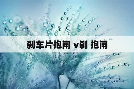 刹车片抱闸 v刹 抱闸