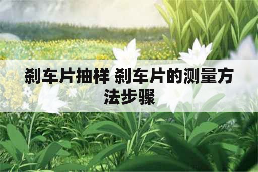 刹车片抽样 刹车片的测量方法步骤