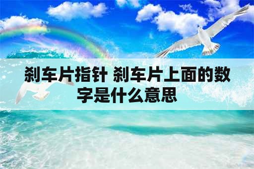 刹车片指针 刹车片上面的数字是什么意思