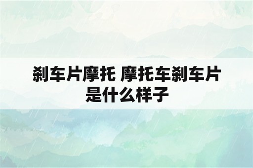 刹车片摩托 摩托车刹车片是什么样子