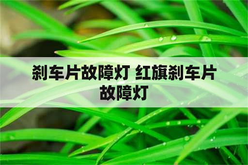 刹车片故障灯 红旗刹车片故障灯