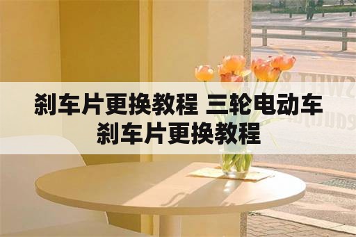 刹车片更换教程 三轮电动车刹车片更换教程