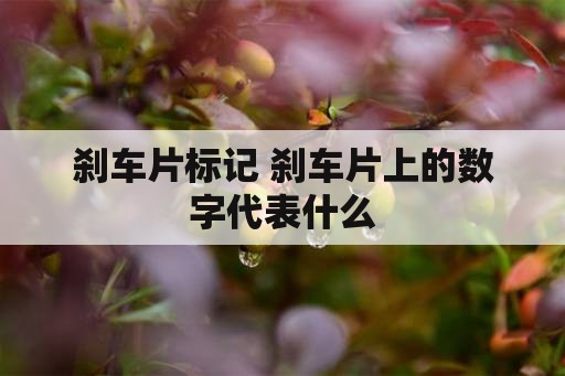 刹车片标记 刹车片上的数字代表什么