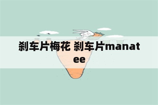 刹车片梅花 刹车片manatee