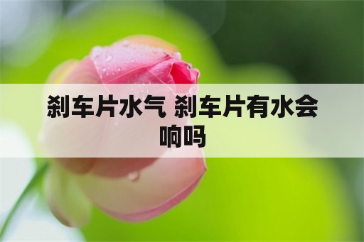 刹车片水气 刹车片有水会响吗