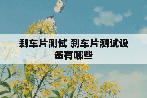 刹车片测试 刹车片测试设备有哪些