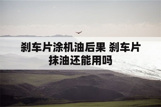 刹车片涂机油后果 刹车片抹油还能用吗