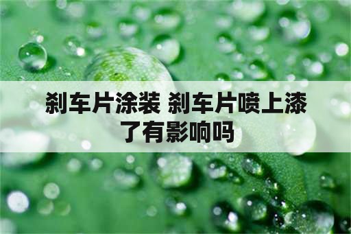 刹车片涂装 刹车片喷上漆了有影响吗