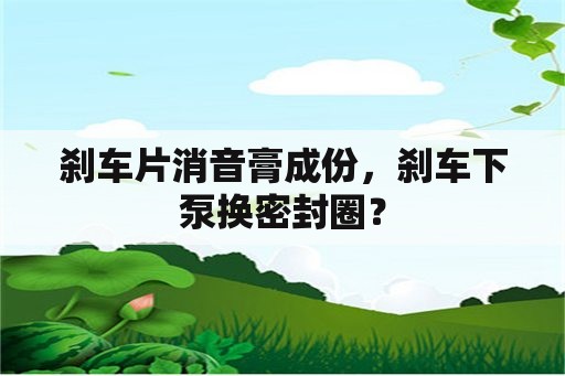 刹车片消音膏成份，刹车下泵换密封圈？